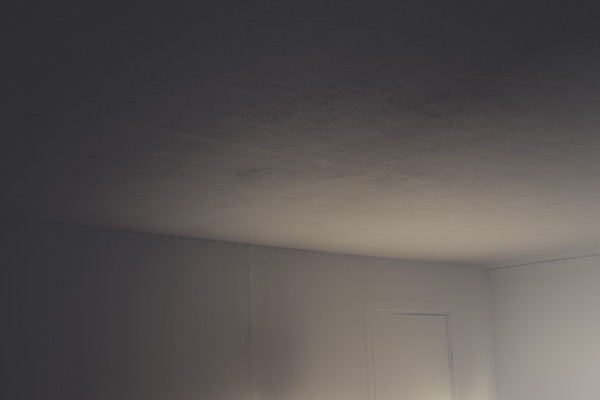 [anderslinden02.jpg]