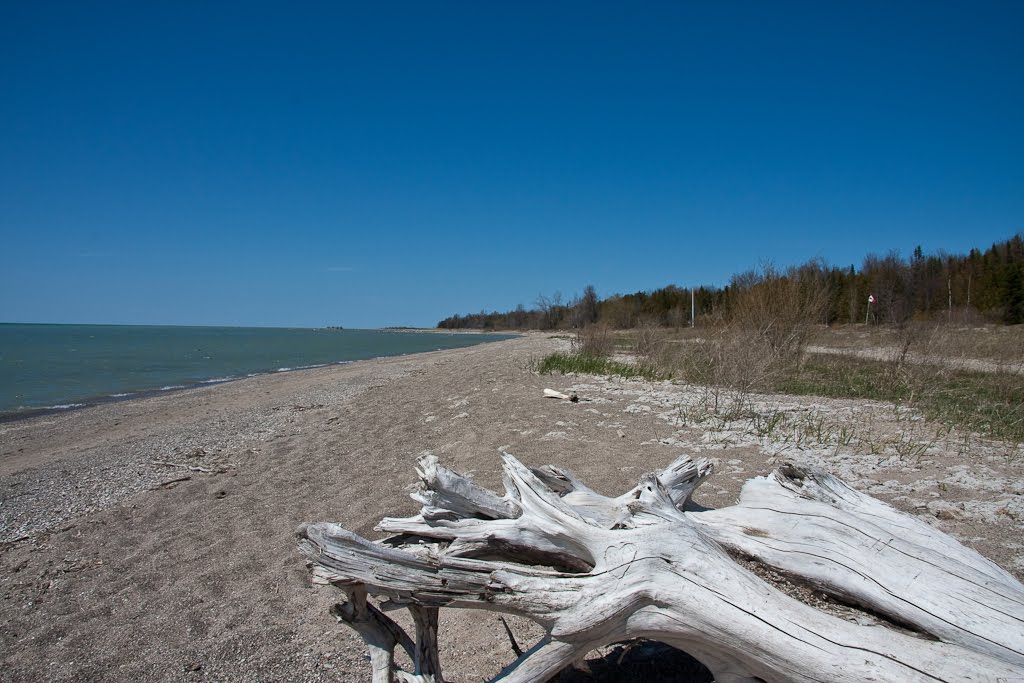 Sprinter: Point Clark