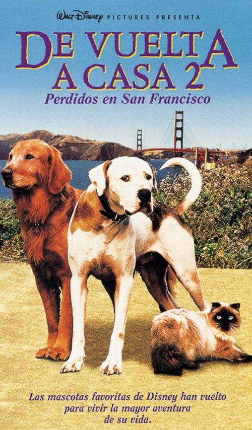 Live Action Disney De vuelta a casa 2 Perdidos en San Francisco (1996) Live Action Disney De vuelta a casa 2 Perdidos en San Francisco (1996)