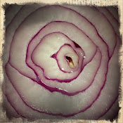 Onion or Rose