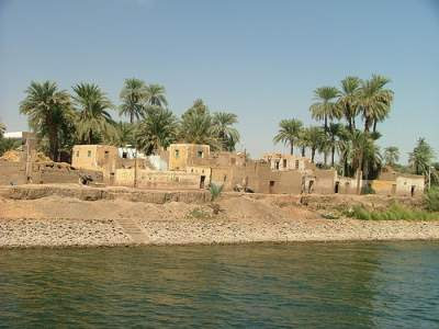 Banks of river Nile