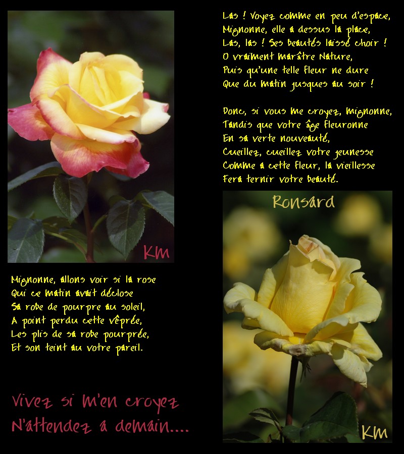 MJC'est à voir: FLEURS & POESIE