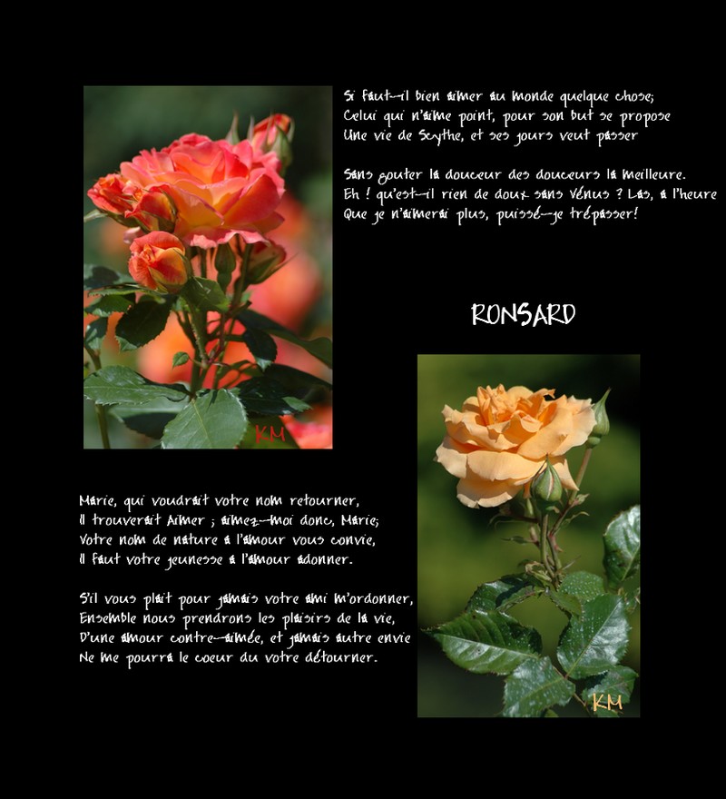 MJC'est à voir: FLEURS & POESIE