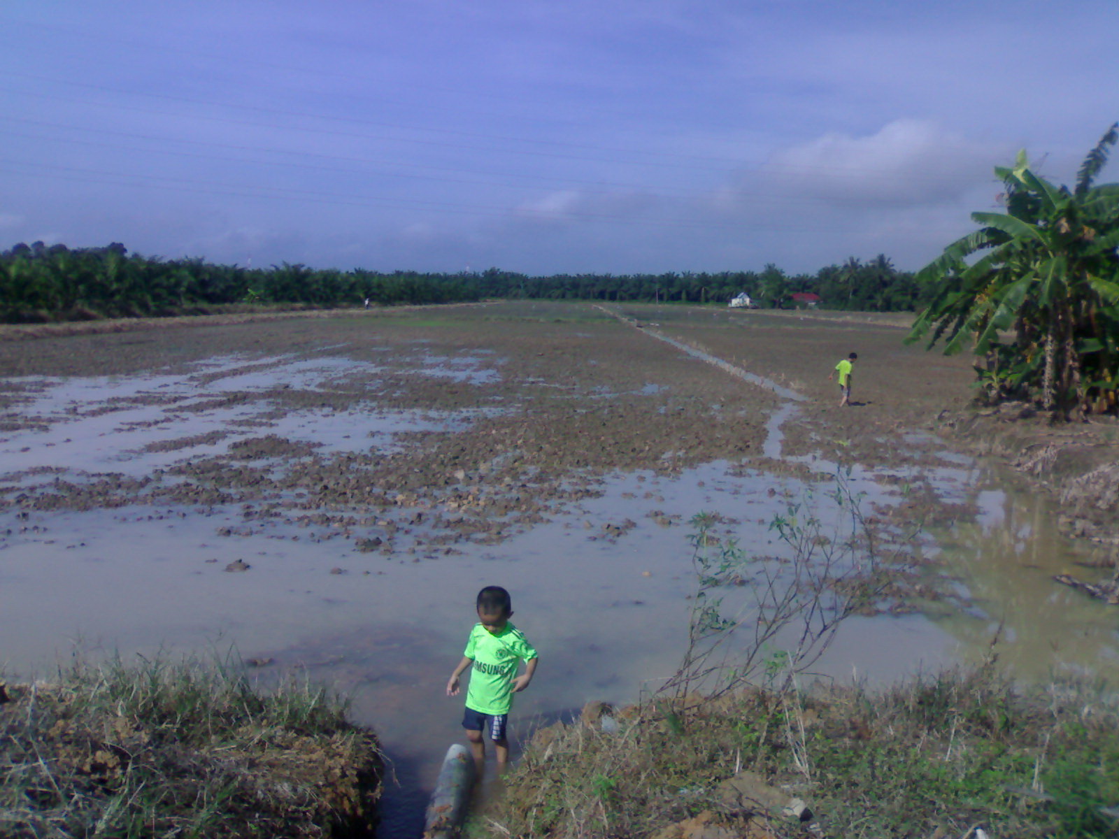 14+ Arti Mimpi Jalanya Tidak Bisa Dilewati Tergenang Air Sawah