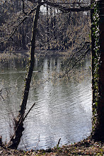 Etangs du Parc Parmentier