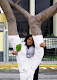 Mi foto