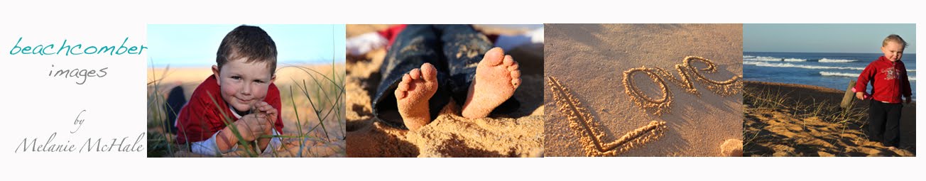 Beachcomber blog