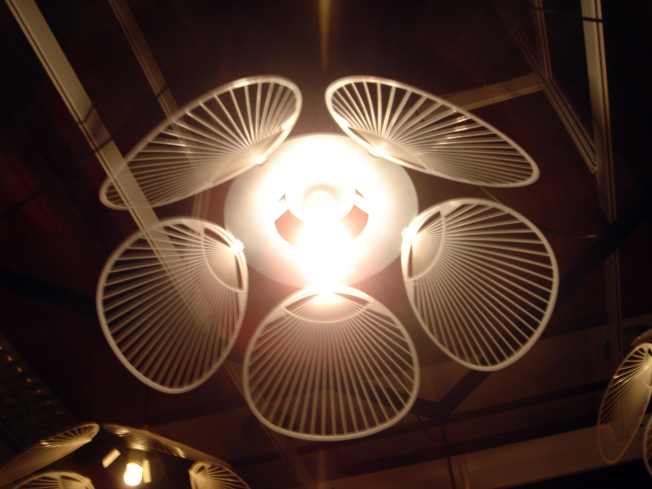 [DSC06265.JPG]