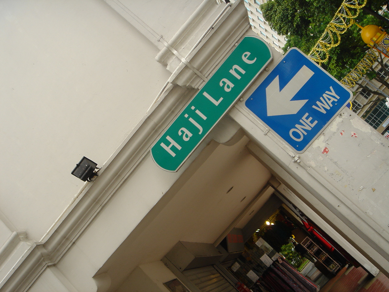 [DSC05465.JPG]