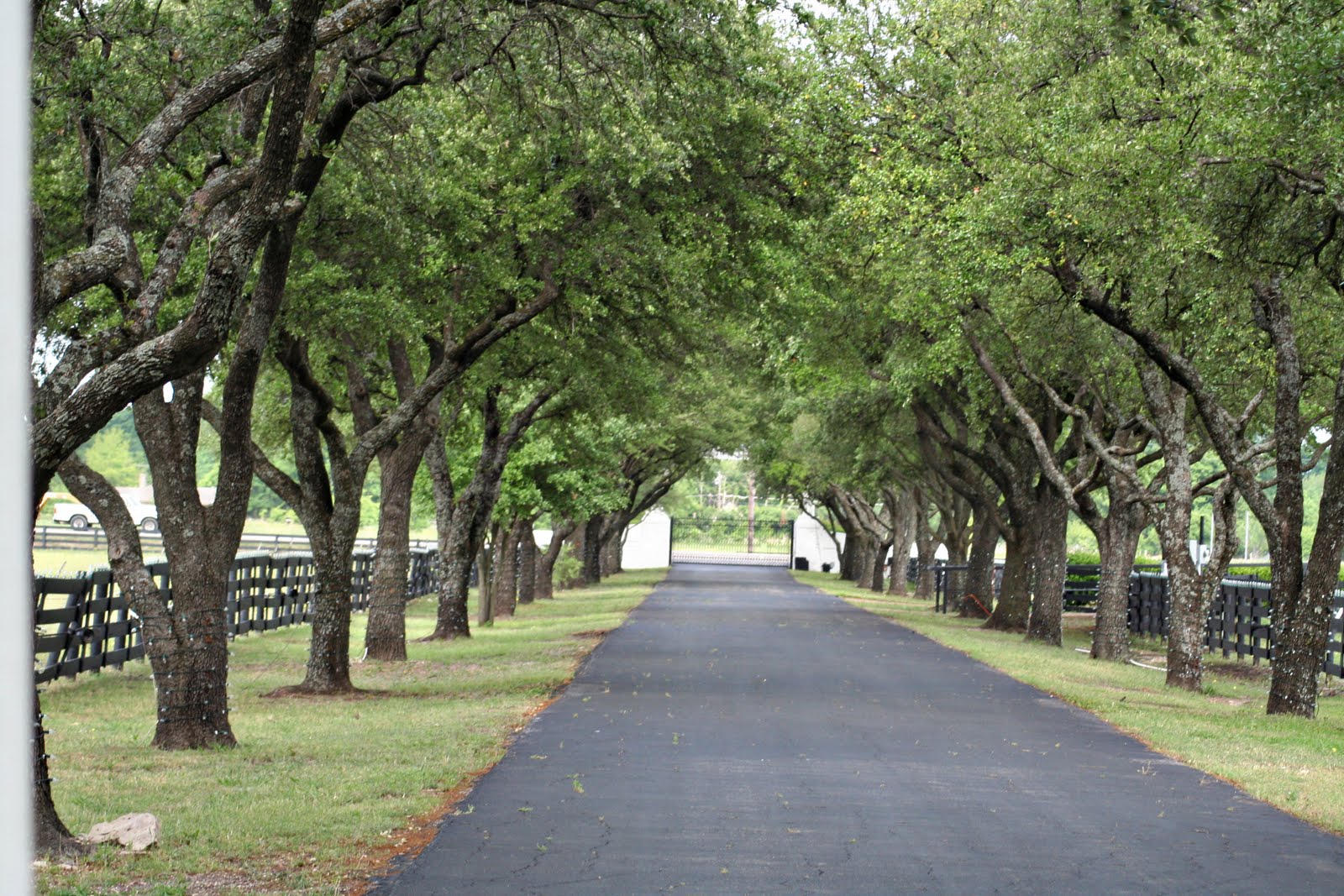 The Good Life: Southfork Ranch