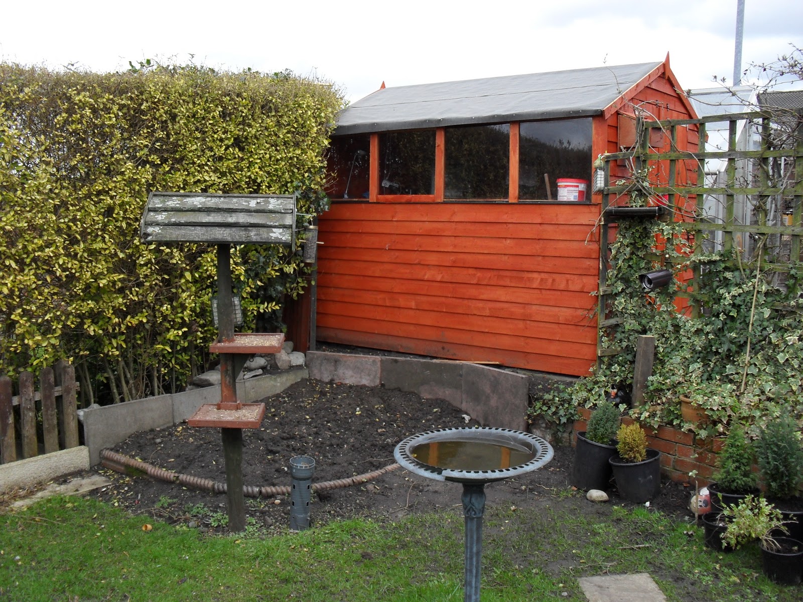 Diaries of a Wildlife and Outdoors lover: Building a new bird feeding area