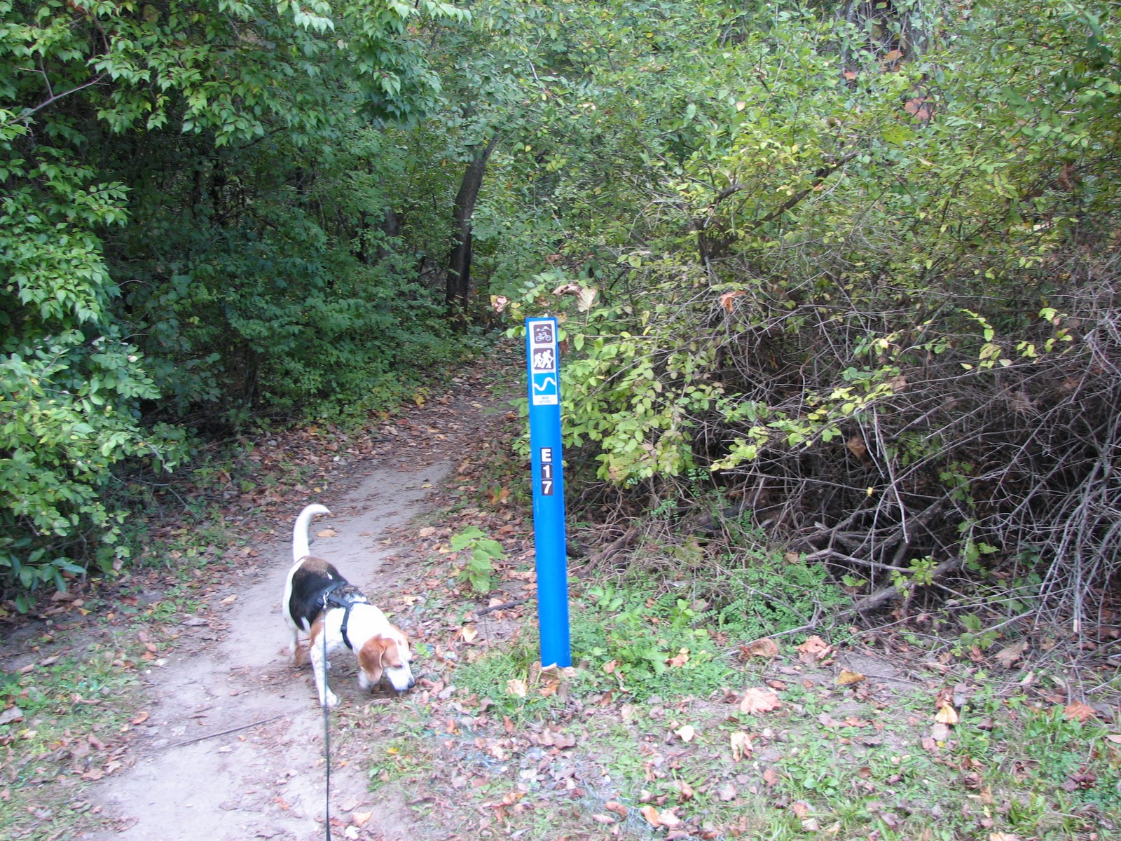 Musings from Illinois Rock Cut State Park 10210