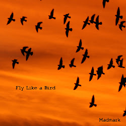 bird fly ep itunes