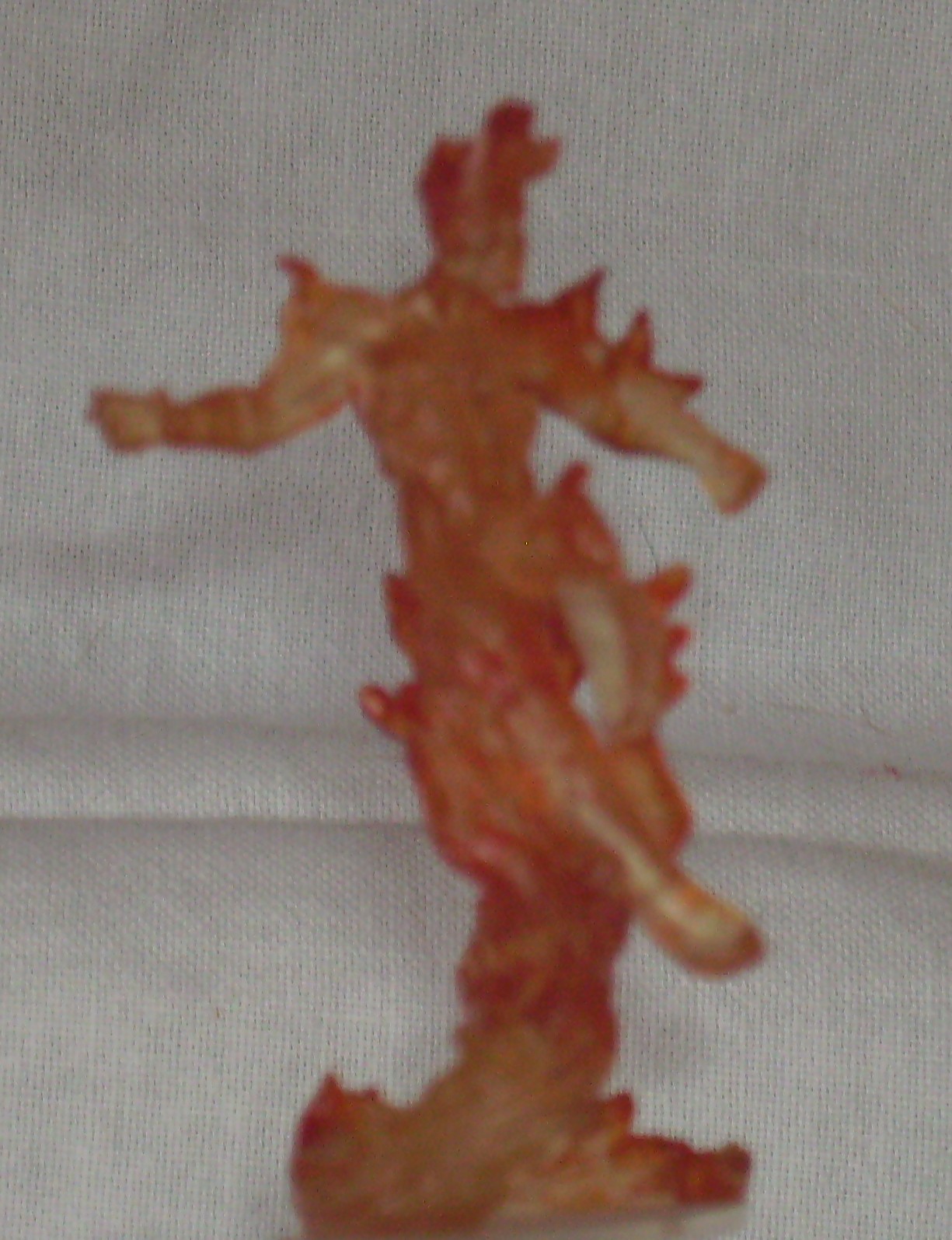 [ANTORCHA+HUMANA.JPG]