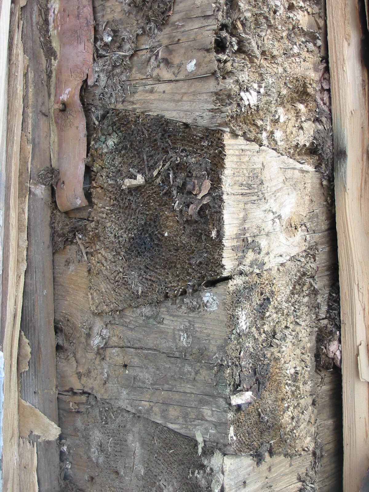 P.E.I. Heritage Buildings The Doucet House of Grand Pere Point