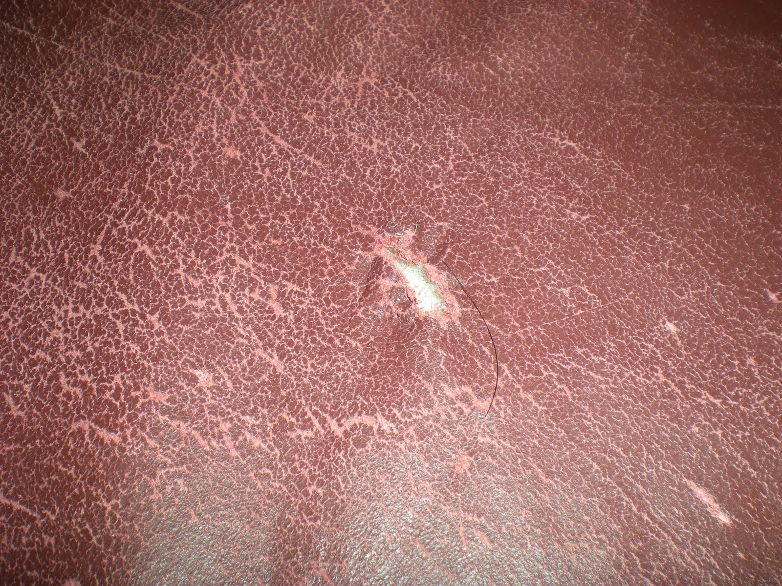 Leather Care, Repair and Restoration When does it make sense NOT to