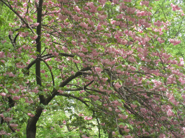 [PRIMAVERA+WM+NY.JPG]