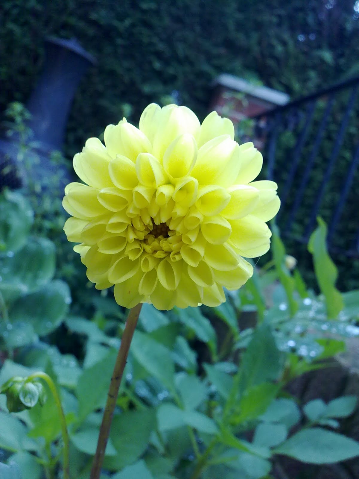 The Gardener's Rest When does Summer end, and Autumn begin?