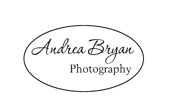 Photography by Andrea Bryan