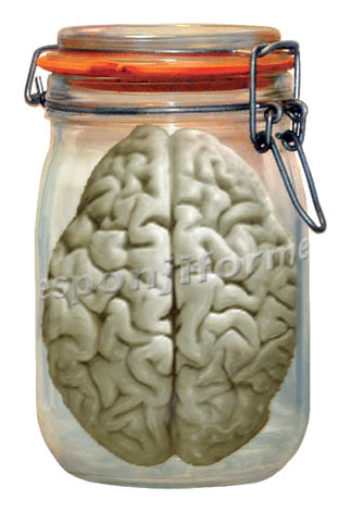 [cerebro.jpg]