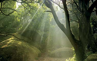 [noticia-dia-natureza.jpg]