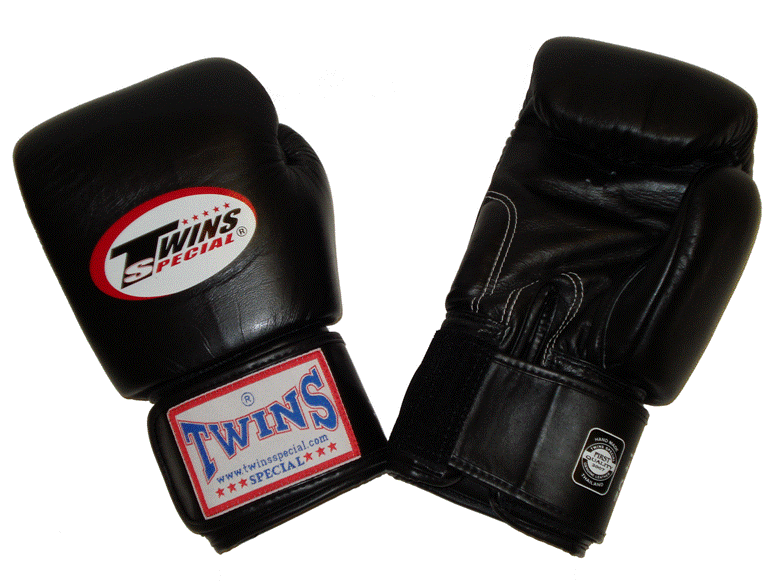 Fight Shop SG Twins Boxing Gloves
