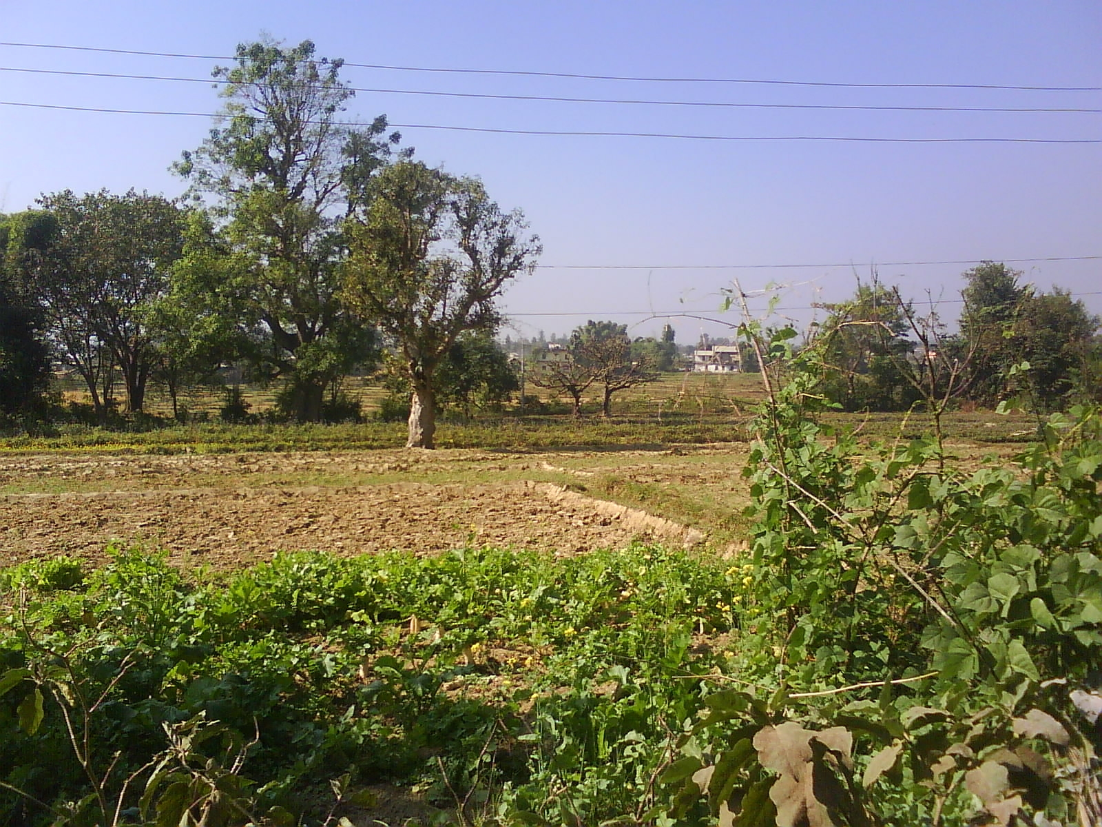 My Journey To Surkhet Nepal « Use Homeopathy And Be Healthy