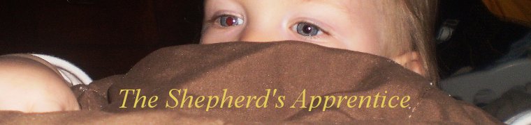 The Shepherd's Apprentice
