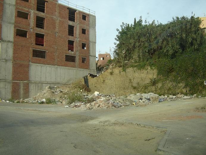 [DSC07878.JPG]