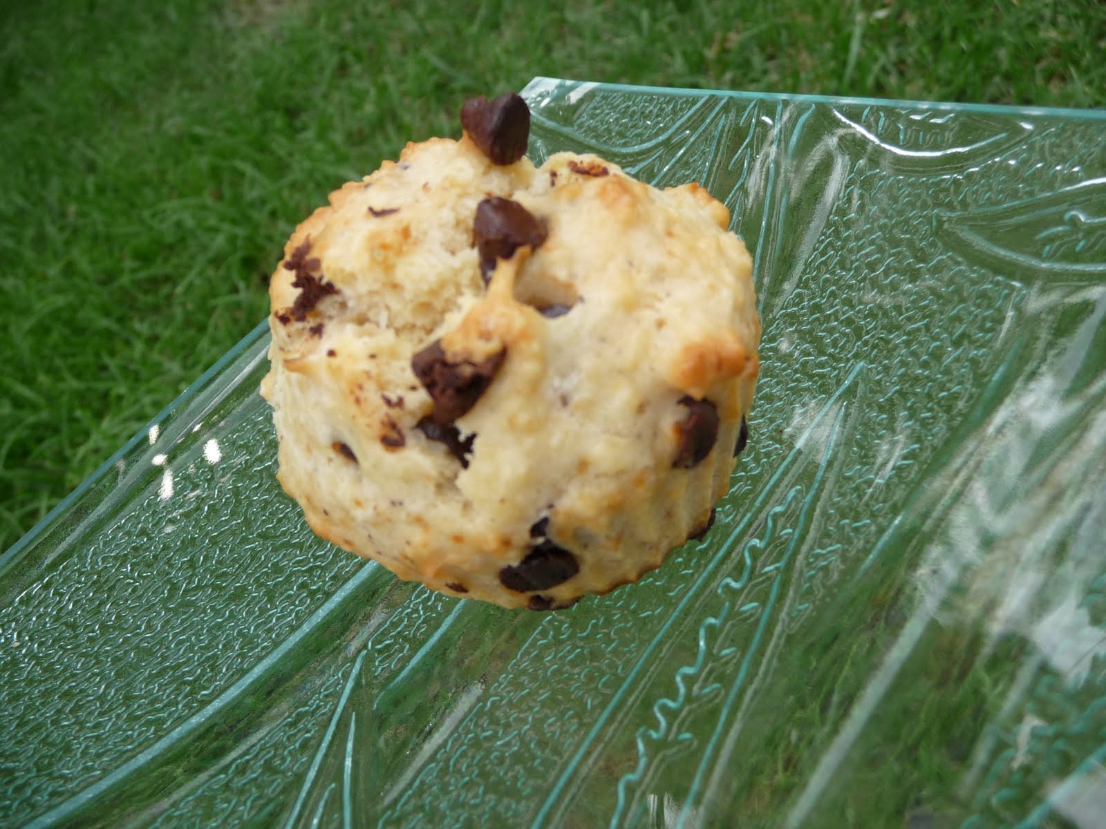 Muffins coco choco au malibu coco – Papilles On Off