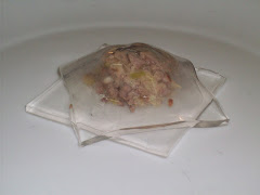 raviolis transparentes