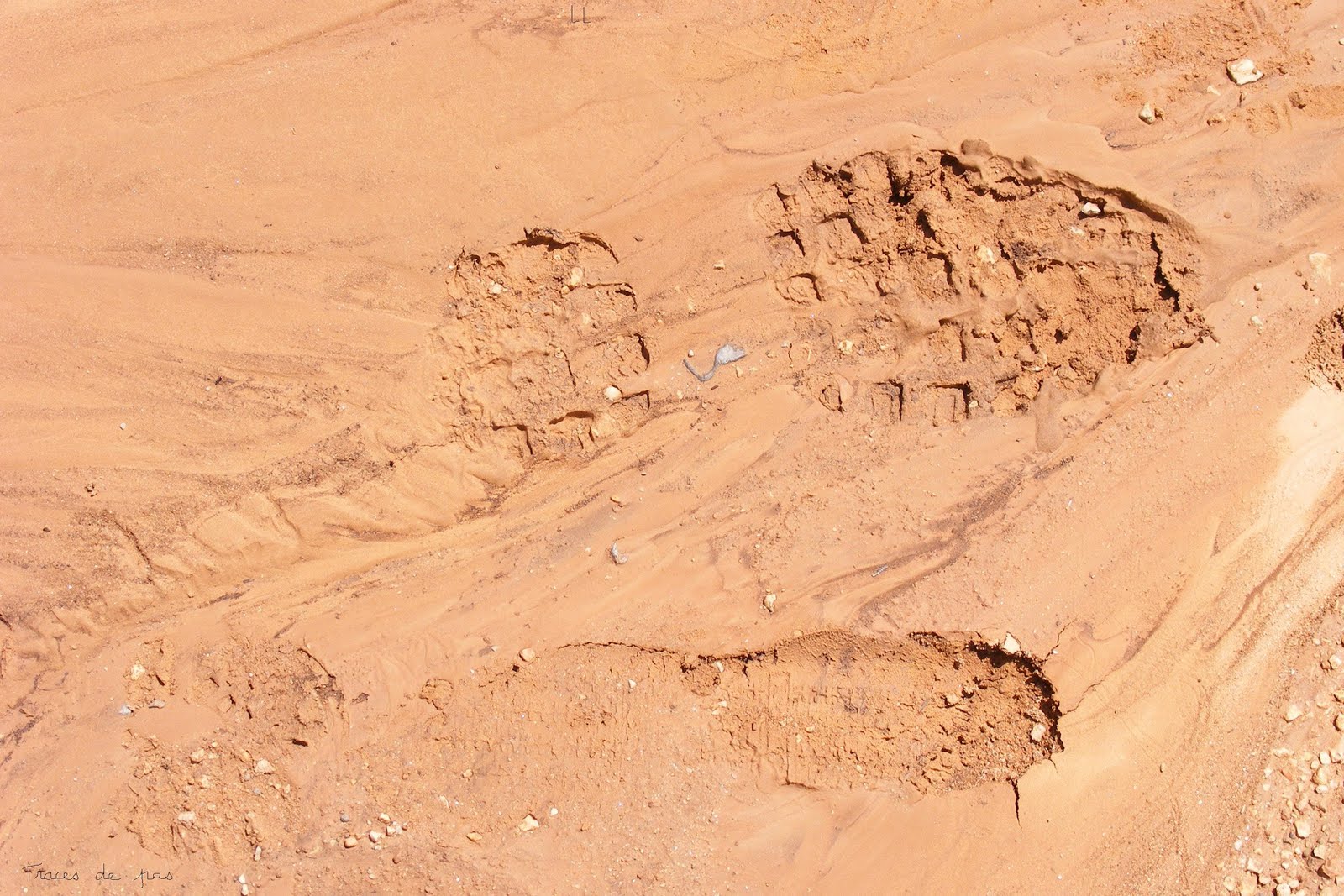 [Traces+de+pas.JPG]