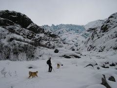 Herbert Glacier