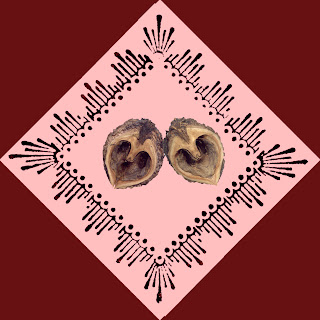 walnut valentine