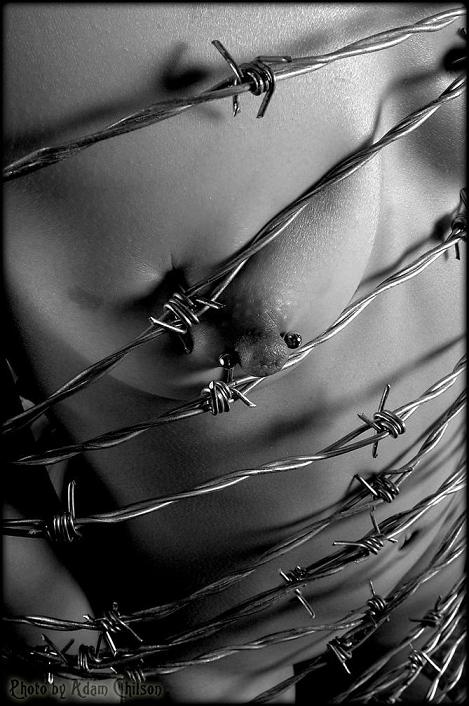 fotos eróticas mulheres arame farpado Adam Chilson fotografia arte