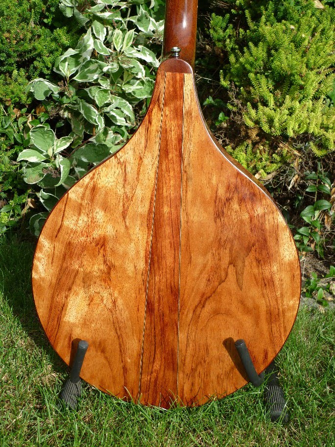 Bouzouki GDAE Vandergaag bouzouki Tauranga