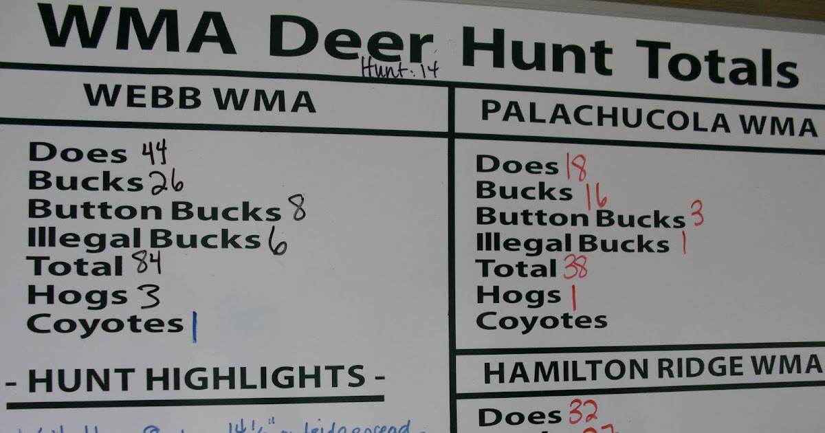 Lowcountry outdoors: Palachucola WMA deer draw hunt