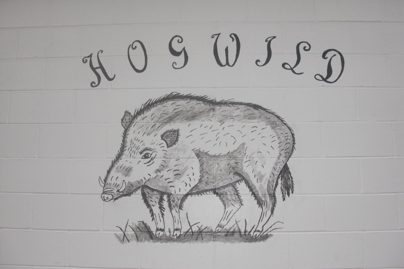 Lowcountry outdoors Men's Wild Game Banquet report