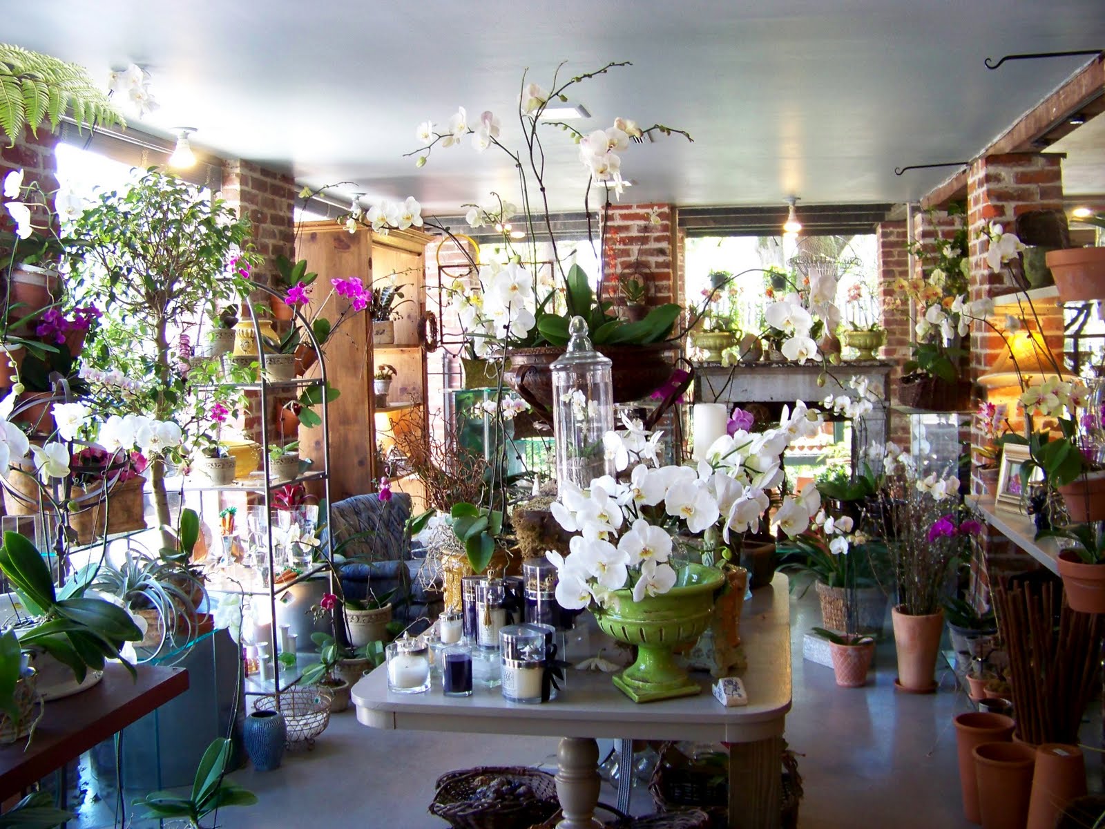 THE INTERNATIONAL FLOWER SPY New Orleans returns to "green"