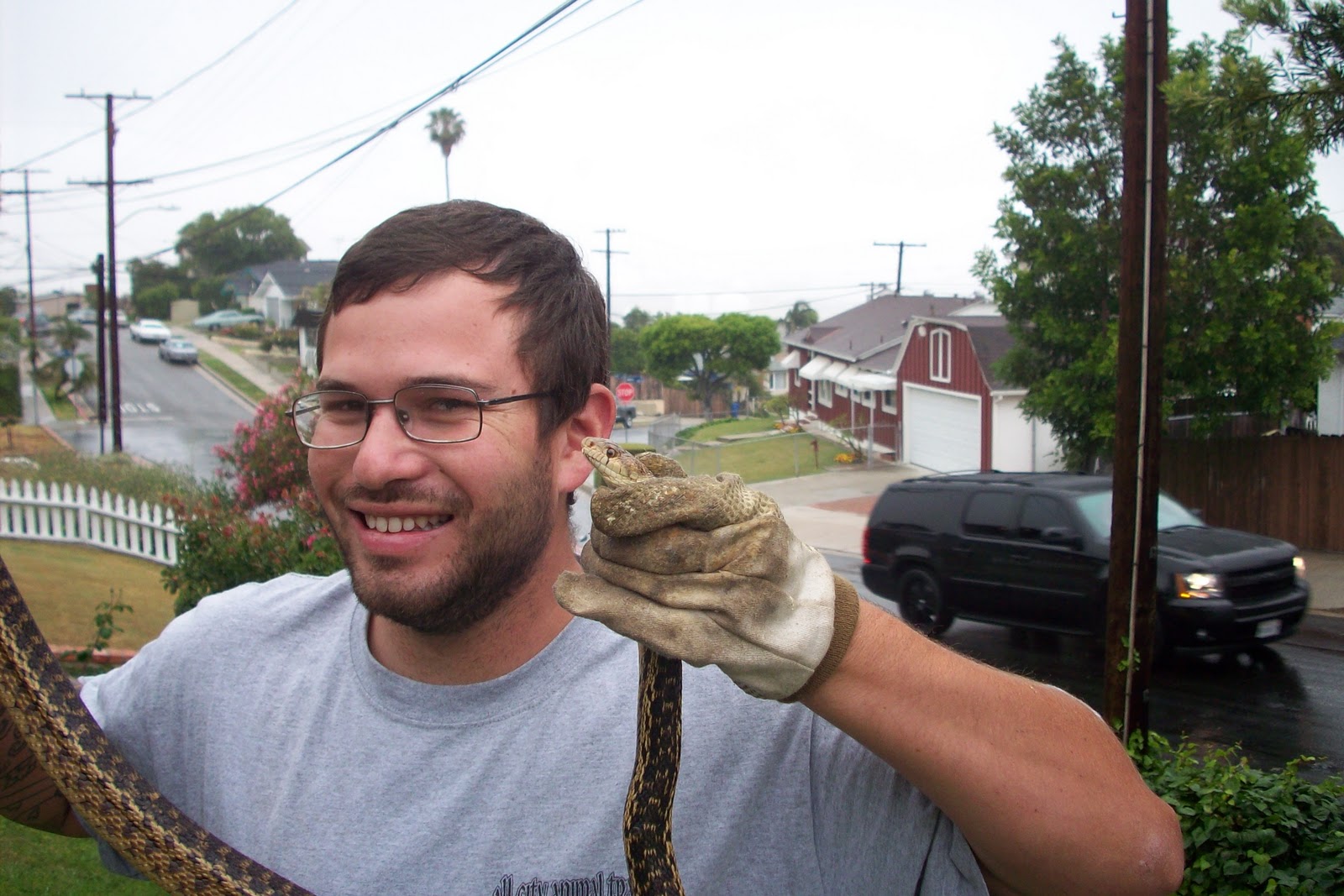 All City Animal Trapping Snake removal in Los Angeles and Riverside