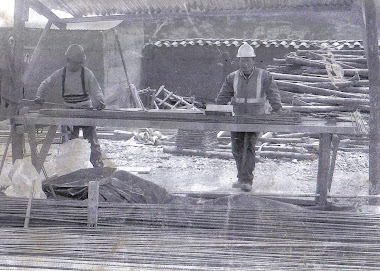 TECNICO PROFESIONAL EN EDIFICACIONES