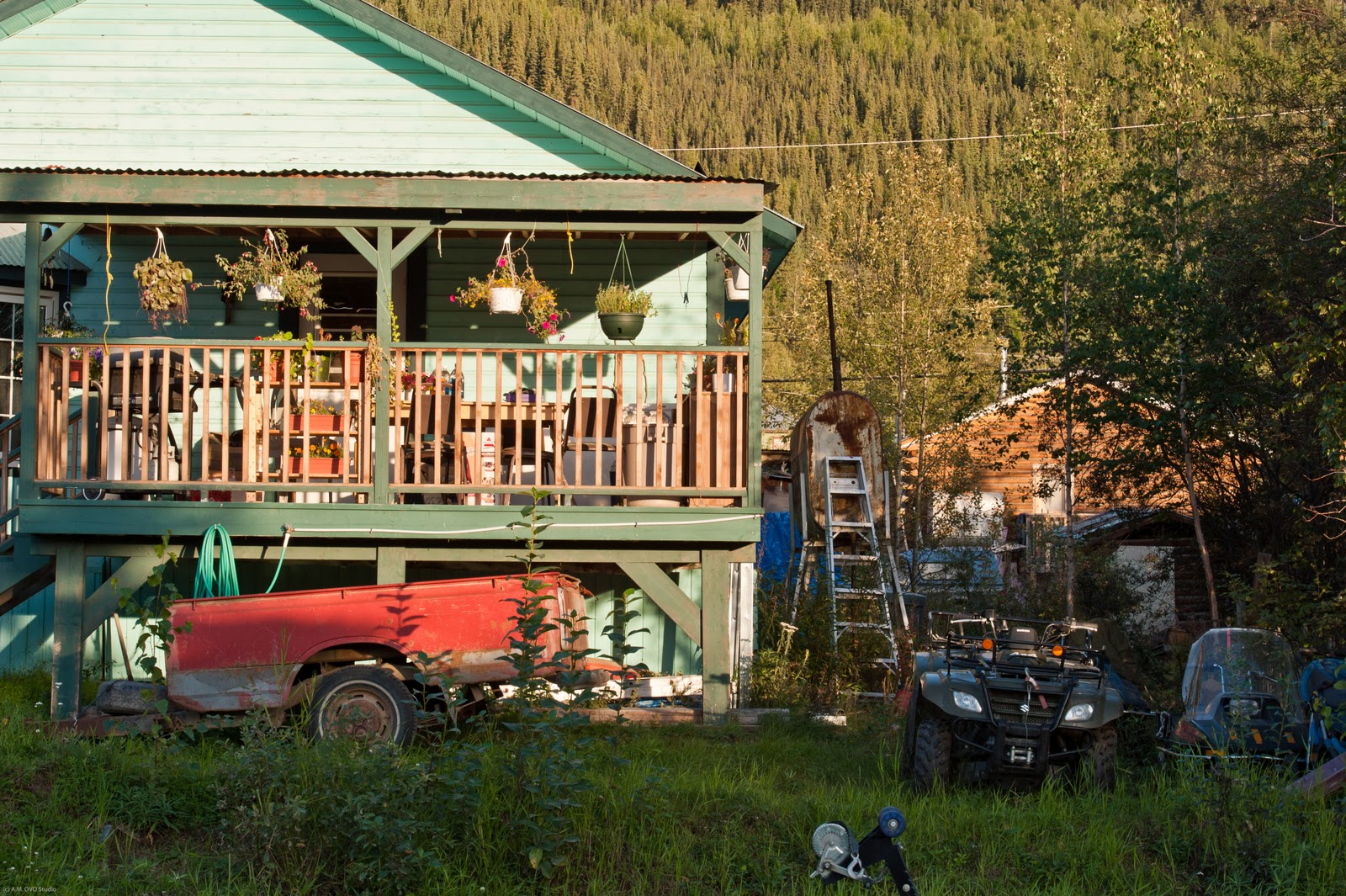The Spotting Eye Under The Spell Of The Yukon Dawson City, YT 9