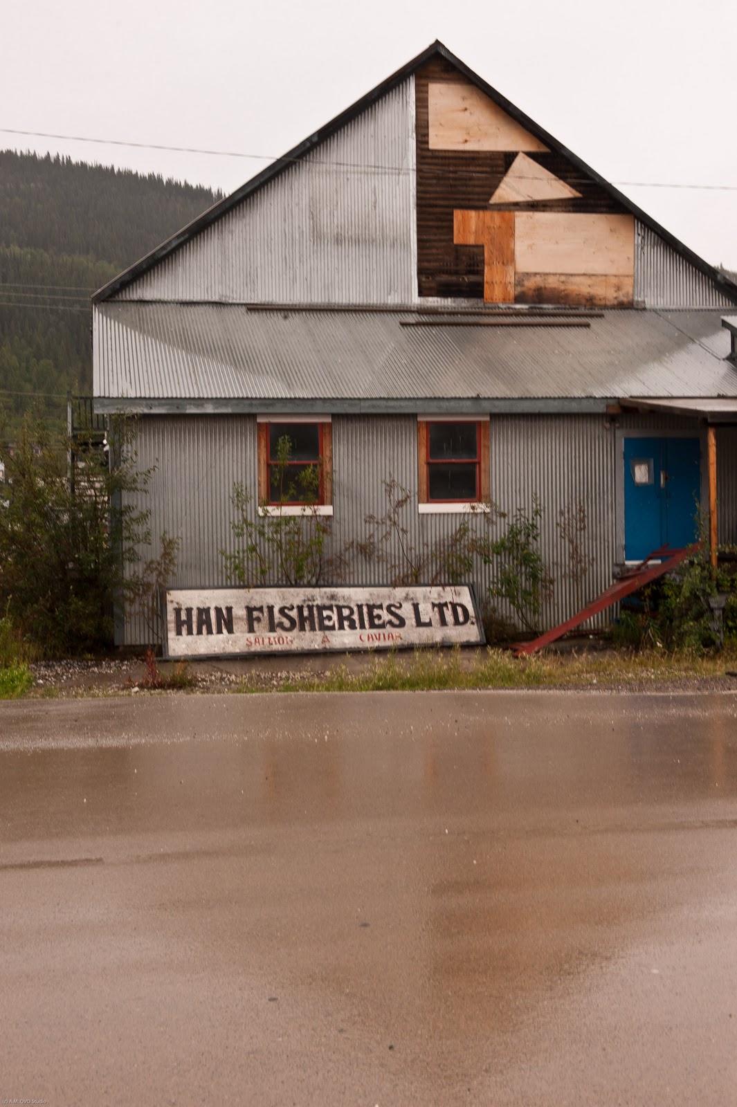 The Spotting Eye Under The Spell Of The Yukon Dawson City, YT 3
