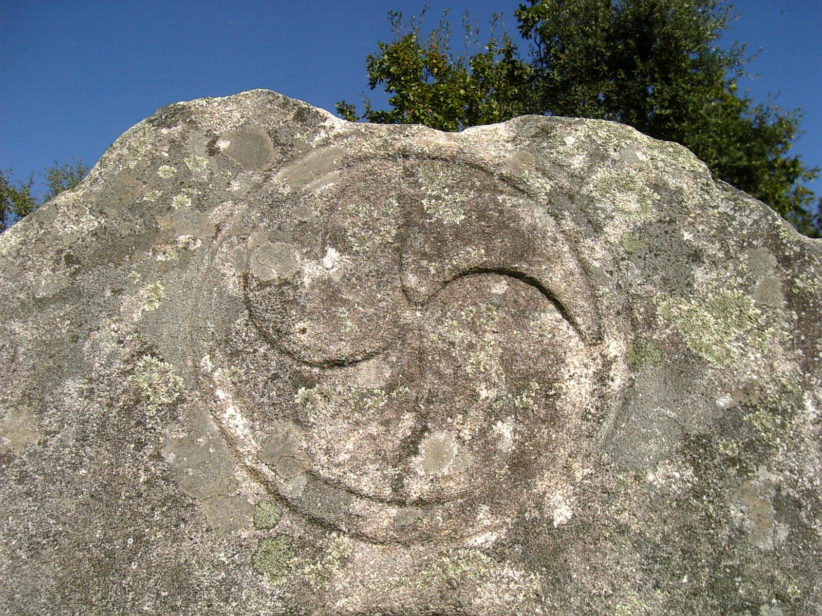 [07-10-20_15-351.jpg]