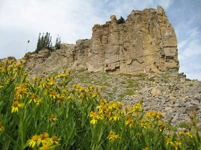 Day 5 – An Epic Adventure