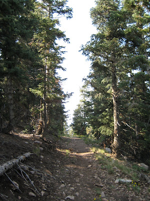 Day 7 – Rest for the Weary