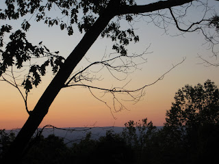 The Week of May 19-25, 2008