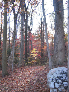 Vote for Your Favorite DC-Area Trail Photos!