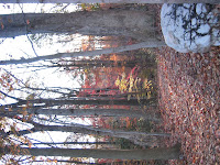 DC Area Trails (Northern Virginia and Maryland, too)