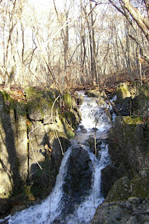 Ozark Trail 100 Mile Race Reports